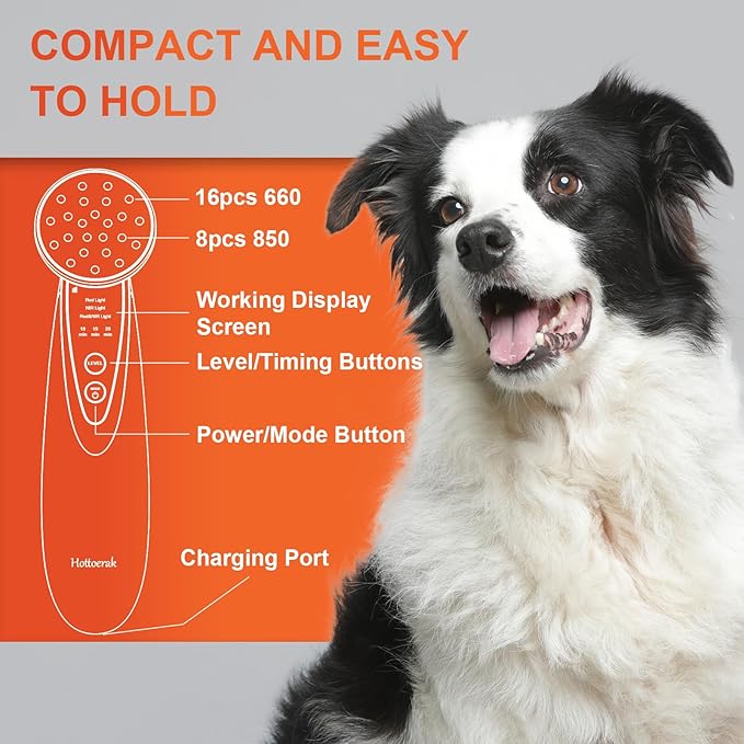 Portable Red Light Therapy, Handheld Red Light Therapy for Body, Near Infrared Light Therapy 660nm & 850nm at Home, Sliver