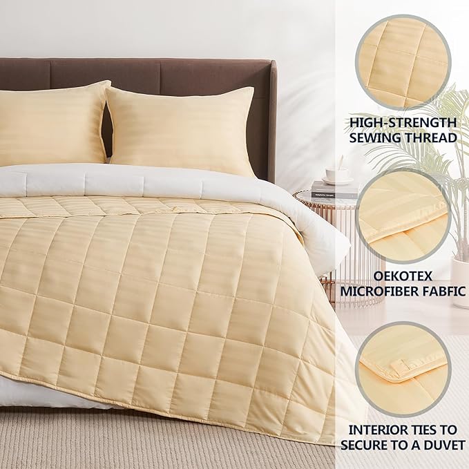 Weighted Blanket Queen Size (60"x80" 17lbs),Ultra Soft and Cozy Cooling Weighted Blanket Queen Size for Adult,Heavy Blanket with Machine Washable Soft Blanket, Beige