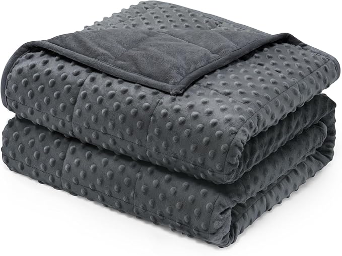 Wemore Minky Dot Weighted Blanket for Adults Queen Size 12 lbs, Soft Cozy Heavy Blanket for Bed and Couch, Breathable Blanket for All-Season with Glass Beads, Dark Grey 60 x 80 inches