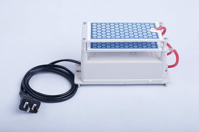 Ozone Generator air purifier 10000 mg/h Equal to 10g/h ozone plates ozone maker machine 110V