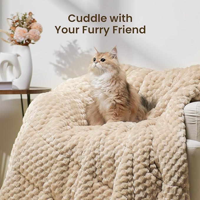 Drewin 20lbs Weighted Blanket Queen Size, Double-Sided Cozy Fluffy Jacquard Sherpa Weighted Blanket, Soft Adult Weighted Blankets for Couch Bed, Ceramic Beads, 60 x 80 inches, Beige