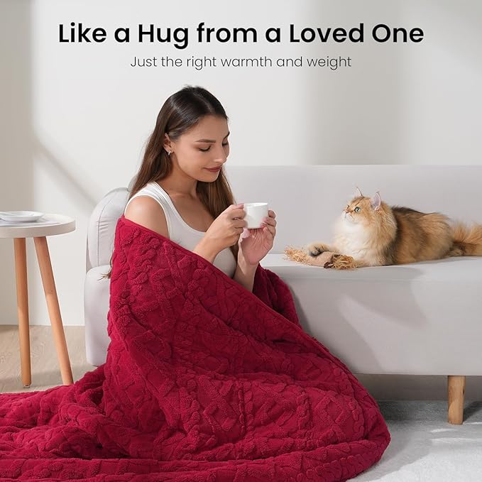 Drewin Adults Weighted Blanket Queen Size 15 lbs, 3D Stylish Fluffy Jacquard Sherpa Weighted Blankets for Sofa Bed, Cozy Thick Winter Heavy Blanket for Calming, Ceramic Beads, 60 x 80 inches, Red