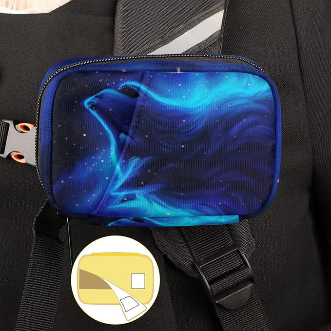 Pill Case Pill Travel Organizer 7 Day Weekly Medicine Pill Box Blue Galaxy Wolf Small Cute Compact Size Vitamin Container Pill Bottle Portable Birth Control Pill Holder Bag with Zipper