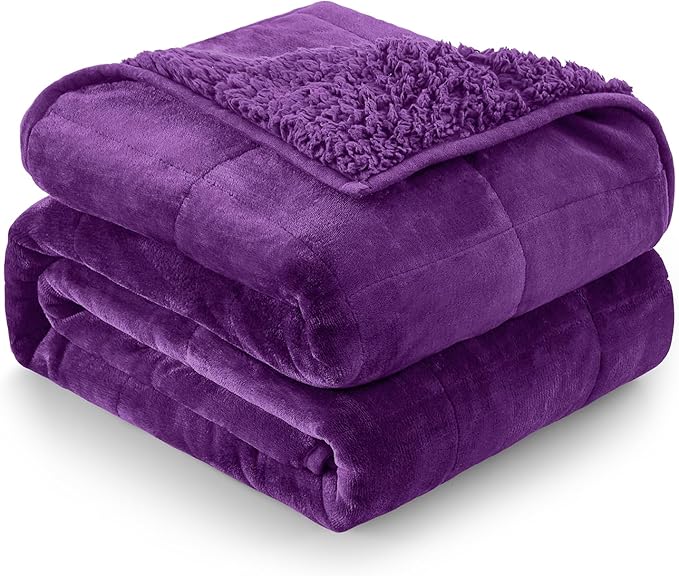 Cottonblue Weighted Blanket 15 lbs Queen Size, Flannel Shaggy Sherpa Weighted Blanket for Adults Comfortable Weighted Blankets for Calming and Relax, Bed Sofa Heavy Blankets, 60x80 inches, Purple