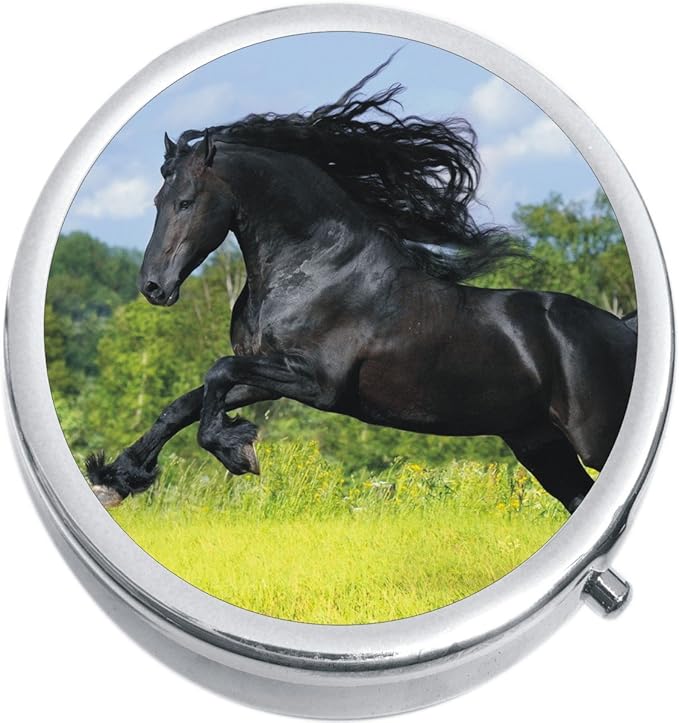 NewCharms Black Horse Medicine Vitamin Compact 3-Compartment Pill Box