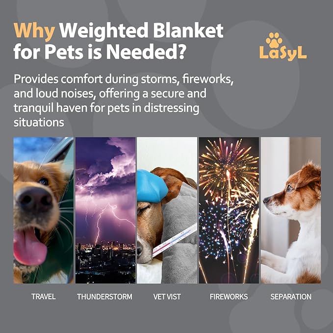 LaSyL Weighted Blanket for Pets | Thunder Blanket for Dogs Anxiety | Premium Soft Minky | Relaxation & Calming & Anti Anxiety | Used in Car, Bed, Couch | Dark Grey, Washable Medium (32"x40")