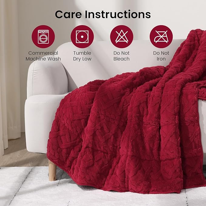 Drewin Weighted Blanket Queen Size 20 lbs, Cozy Sherpa Weighted Blankets with Jacquard Pattern, Super Fluffy Thick Bed Blanket with Ceramic Beads for Sleep Natural and Calming, 60 x 80 inches, Red