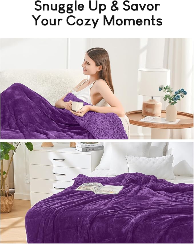 Cottonblue Weighted Blanket 15 lbs Queen Size, Flannel Shaggy Sherpa Weighted Blanket for Adults Comfortable Weighted Blankets for Calming and Relax, Bed Sofa Heavy Blankets, 60x80 inches, Purple