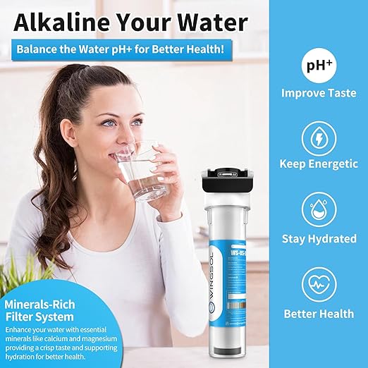 WINGSOL Water Filter for Sink with Faucet, Reduce Heavy Metals/Chlorine/PFAS/PFOA/PFOS/Odor/Sediment, NSF/ANSI 42&53 Improve Taste, EZ Change Life Indication Mineral pH+ Under Sink Water Filter