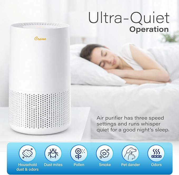Crane True HEPA Air Purifiers for Home, Up To 250 Sq Ft, Air Purifiers For Bedroom, and Office, Removes Dust, Smoke, Pet Dander, and Allergens, Purifier HEPA with Sleep Timer, Child Lock, Aroma Tray