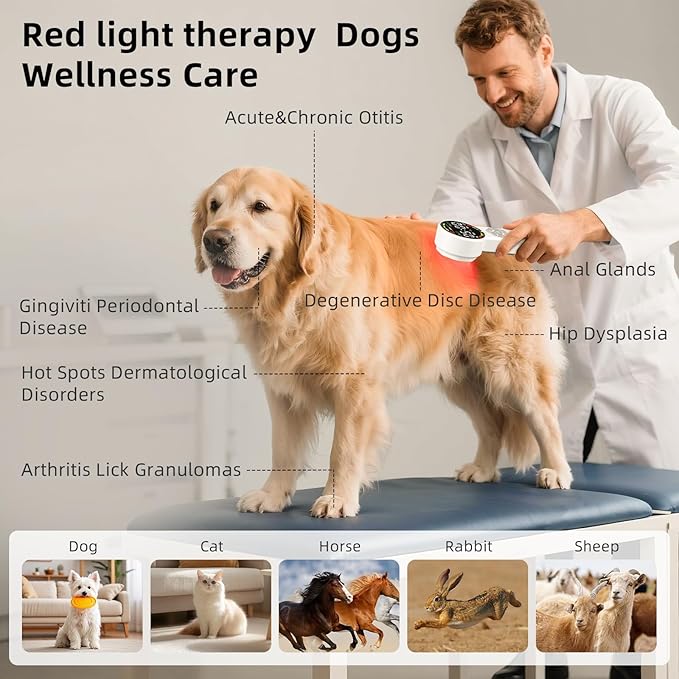 Handheld Red Light Therapy Device with Pulse Mode, 3 Wavelengths Infrared & Near Infrared Light Therapy for Body, Knee, Shoulder, Back, Joints & Muscles, 5 Core Modes, Safe for Humans and Pets