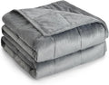 Topblan Weighted Blanket Queen Size 20lbs, Adult Weighted Blankets with Soft Warm Fabric for Sleeping and Calming, Adult Heavy Blanket for Sofa Bed, Grey, 60 x 80 inches
