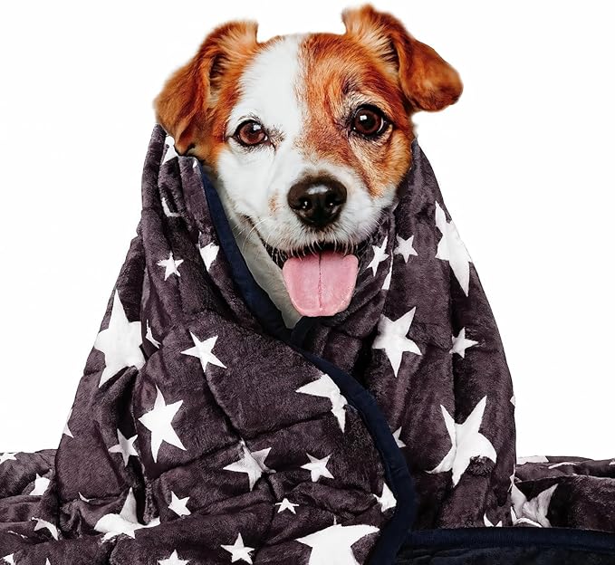 LaSyL Weighted Blanket for Pets | Thunder Blanket for Dogs Anxiety | Premium Soft Minky | Relaxation & Calming & Anti Anxiety | Used in Car, Bed, Couch | Blue Grey Star, Washable Small (24"x32")