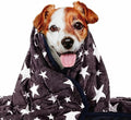 LaSyL Weighted Blanket for Pets | Thunder Blanket for Dogs Anxiety | Premium Soft Minky | Relaxation & Calming & Anti Anxiety | Used in Car, Bed, Couch | Blue Grey Star, Washable Medium (32"x40")