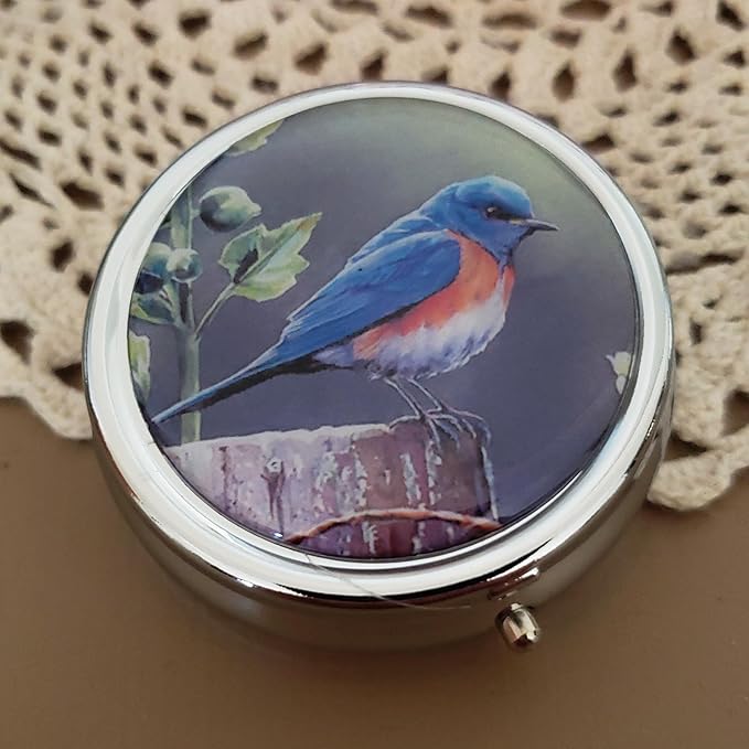 Designer Pill Box by Houder - Decorative Pill Case with Gift Box - Carry Your Meds in Style (Blue Bird)