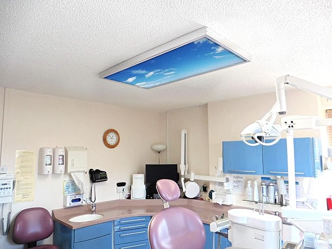 OCTO LIGHTS Fluorescent Light Covers Cloud Sky Panel for Ceiling Lights, Light Covers for Ceiling Lights Classroom 2x4 (22.38"x46.5") Backlit Film Insert for Fluorescent Light Fixtures (Pack of 1)