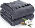 Sivio Weighted Blanket for Adults 100% Cotton, 60"x80" Queen Size 20 lbs, Cooling Summer Heavy Blanket for Sleeping, Breathable Soft Blankets with Premium Glass Beads, Machine Washable, Dark Grey