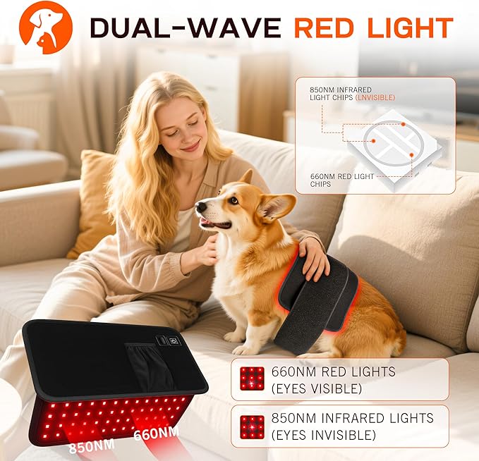Red Light Therapy Belt for Dogs, Portable 16 × 8 in 660/850 nm 120-LED Pad, Wearable Infrared Device for Stiff Joints & Back Comfort, Flexible Wrap Straps