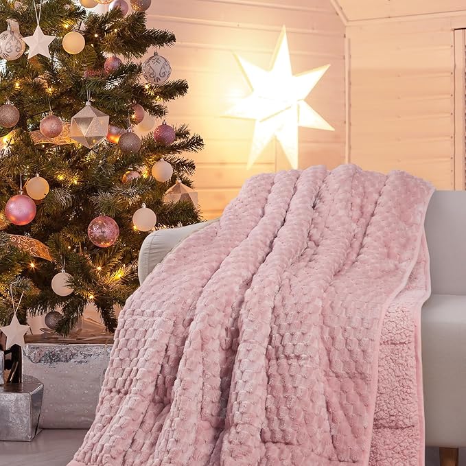 Drewin Weighted Blanket for Adults Queen Size 15lbs, Soft Cozy Turtleback Sherpa Weighted Blankets for Sleeping and Calming, Thick Bed Blanket for Couch Bed, 60 x 80 inches, Pink