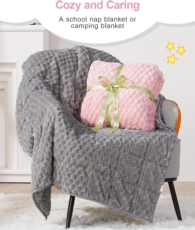 Super Soft Luxury Fleece Sherpa Weighted Blanket for Teens, 5lbs Small Weighted Lap Blanket for Adults, Turtle Shell Fuzzy Warm Throw for Winter, Compact Heavy Blanket for Better Sleep, Pink, 36"x48"