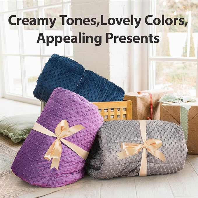 Minky Dot Weighted Blanket for Adults Queen Size 15 lbs, Soft Cozy Heavy Blanket for Stress Relief and Sleep Promotion, Warm Blanket for Autumn Winter with Glass Beads, Grey 60 x 80 inches