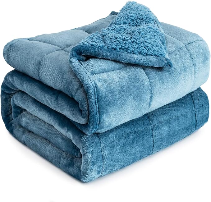 Weighted Blanket 20 lbs for Queen Bed, Flannel Shaggy Sherpa Weighted Blankets for Adults Comfortable Weighted Blankets for Calming and Relax, Bed Sofa Heavy Blankets,60x80 inches,State Blue