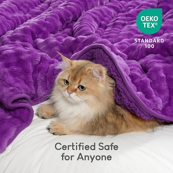 Cottonblue Weighted Blanket 15lbs Bubble Fleece Plush Sherpa Heavy Weighted Blankets for Adults, Fits Queen Size Bed, Cute Fuzzy Warm Heavy Blanket for Calm and Better Sleep, 60"x80", Purple