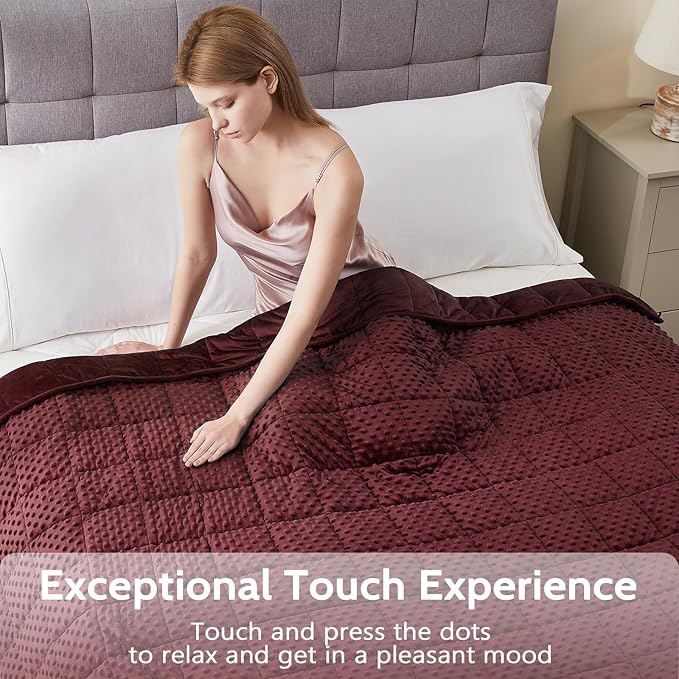 L'AGRATY Weighted Blanket for Adult - 48"x72" 20lbs Minky Dots Heavy Blanket with Glass Beads Soft Breathable for All-Season Summer Fall Winter Thick Comfort for Sleeping