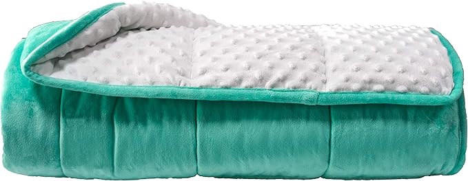 ALANSMA Reversible Weighted Blanket for All Season, Luxury Velvet, Warm and Cool, Adult 20Lb Green Weighted Blanket, Enjoy Sleeping Anywhere(Light Green,60"x80" 20lbs)
