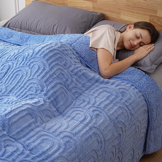 Sherpa Fleece Adult Weighted Blanket Great for Sleep, 20 lbs Dual Sided Soft Fuzzy Heavy Blankets for Couch Bed Sofa, Cozy Warm Fluffy Arched Jacquard Throw for Winter (Blue, 60" x 80", 20 Pounds)