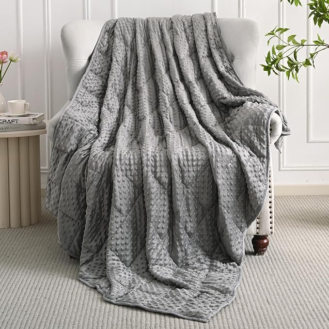 Mr. Sandman Weighted Blanket for Adults Queen, Minky Dots Heavy Blanket for Woman,Man Sleeping/Calm, Soft, Cozy and Cooling Weighted Throw Blankets, Machine Washable, 80 x 87in, 20 Pounds, Grey