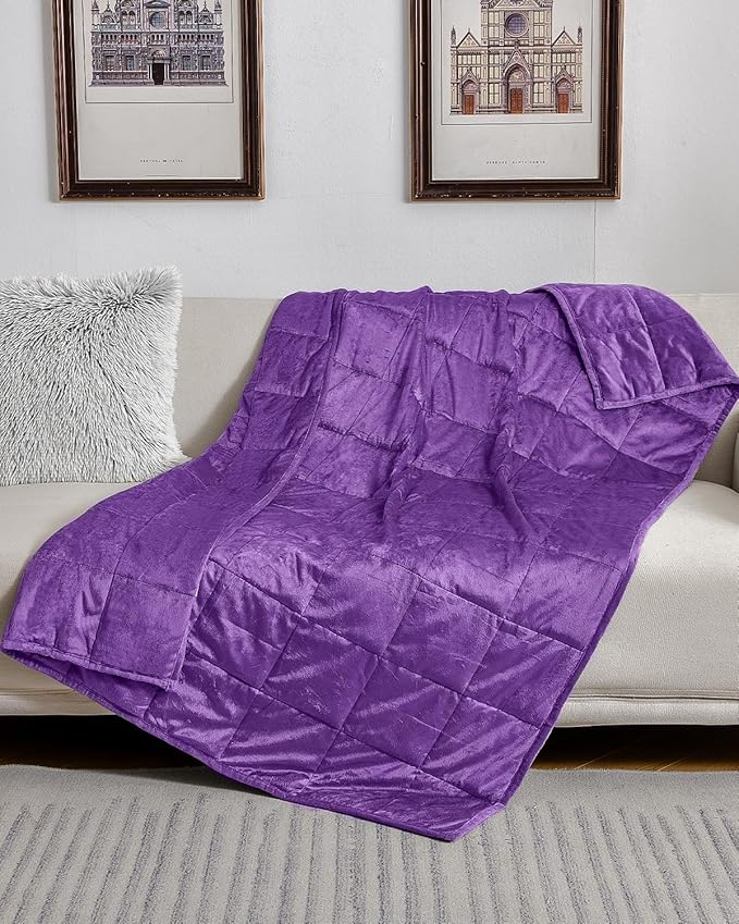 Topblan Flannel Weighted Blanket, 12lbs, Purple, Twin Size, Adult Heavy Blanket for Sleeping and Calming, Soft Warm Fabric, 48 x 72 inches