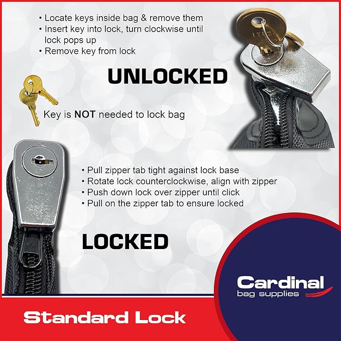 Medication Organizer Key Lock Bag,Travel Pill Organizer Medication Lock Bag with 2 Keys, Heavy Duty Lock System Medicine Lock, Pill Pouch, 8 x 10 inch (Gray)