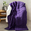 Aemicion Weighted Blanket Queen Size 20lbs,Dual Sided Cozy Fluffy Sherpa Heavy Weighted Blankets for Adults,Ultra Fuzzy Throw Blanket with Soft Plush Flannel Top,60 x 80 inches Purple on Both Sides