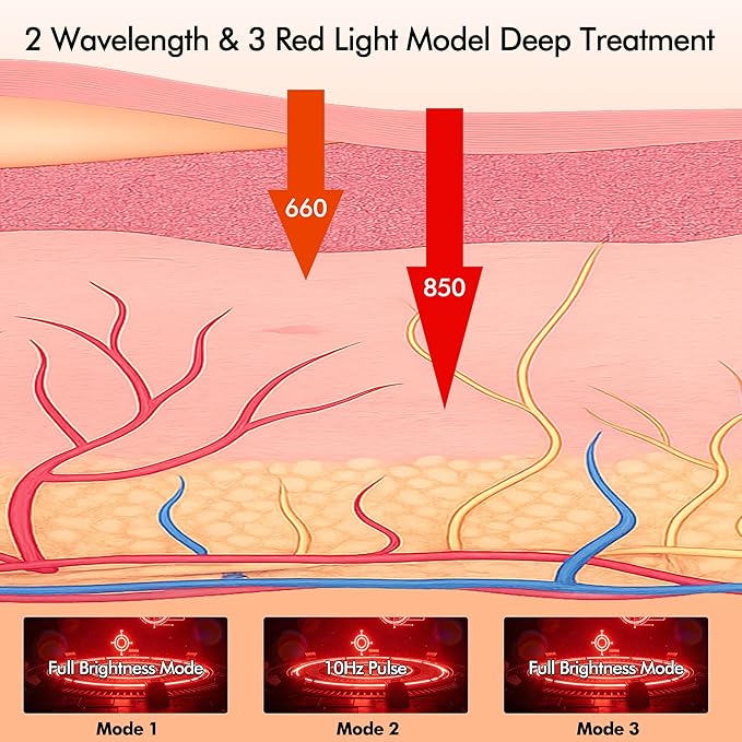 31.5 x11.8in Red Light Therapy for Dogs Mat with 240 LEDs, Dog Red Light Therapy Pad, 5-Stage Brightness,10Hz/40Hz Pulsed Modes for Joint & Muscle Comfort, Portable Pet Red Light Therapy for Home Use
