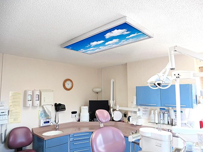 OCTO LIGHTS Fluorescent Light Covers Cloud Sky Panel for Ceiling Lights, Light Covers for Ceiling Lights Classroom 2x4 (22.38"x46.5") Backlit Film Insert for Fluorescent Light Fixtures (Pack of 1)