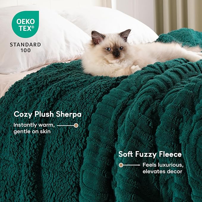 Cottonblue Jacquard Weighted Blanket for Adults 20 lbs Queen Size, Cozy Fluffy Sherpa Fleece Weighted Throw Blankets 60" x 80" for Sleep Relax, Fuzzy Warm Arch Heavy Blanket Soft for Bed Couch, Green