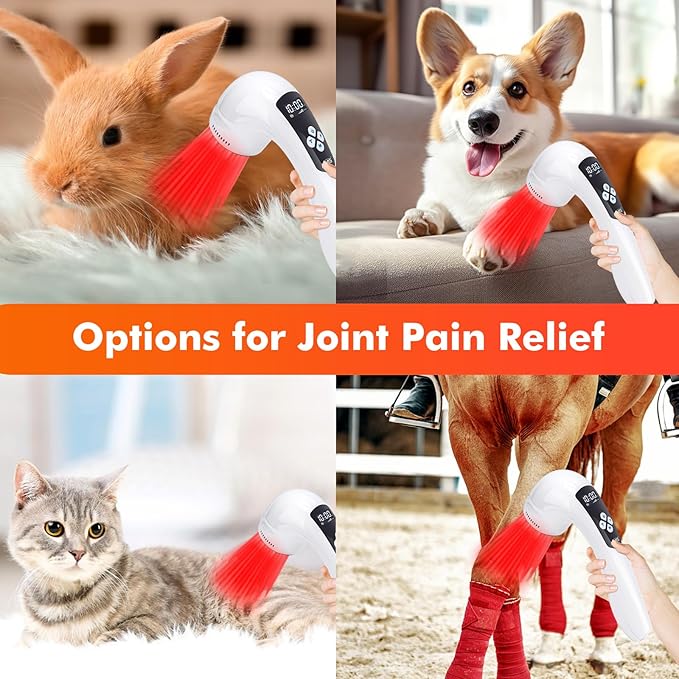 Red Light Therapy Device, Cold Light Therapy Device with LED Display for Muscle Pain Relief, Portable Handheld Infrared Light Therapy for Human/Pets (4 Levels+3 Timer Settings)