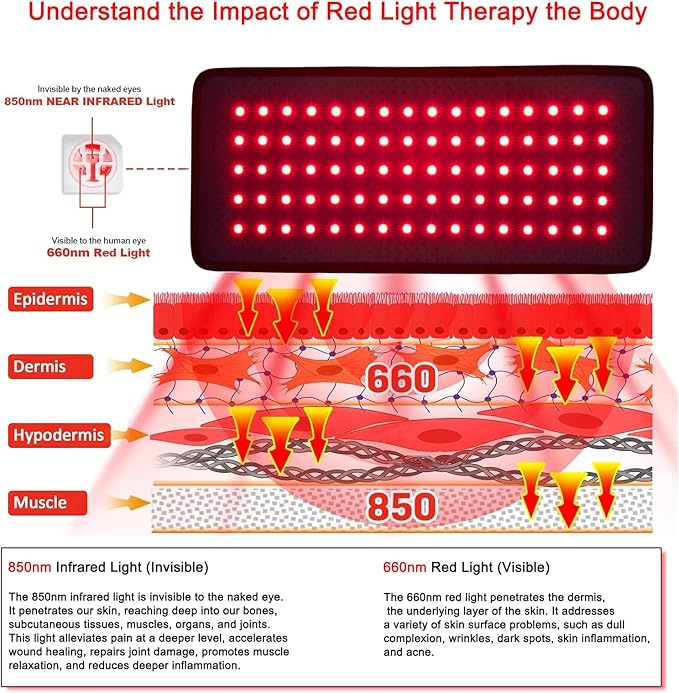 Red Light Therapy Belt Infrared Light Therapy Pad with Portable Battery, 660nm 850nm Full Body Red Light Mat Therapy for Back Knee Feet Shoulder Neck Waist Hands Legs Hips