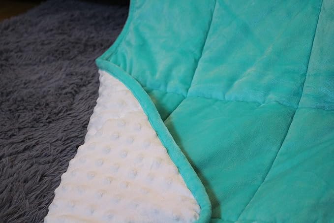ALANSMA Reversible Weighted Blanket for All Season, Luxury Velvet, Warm and Cool, Adult 15Lb Green Weighted Blanket, Enjoy Sleeping Anywhere(Light Green,60"x80" 15lbs)