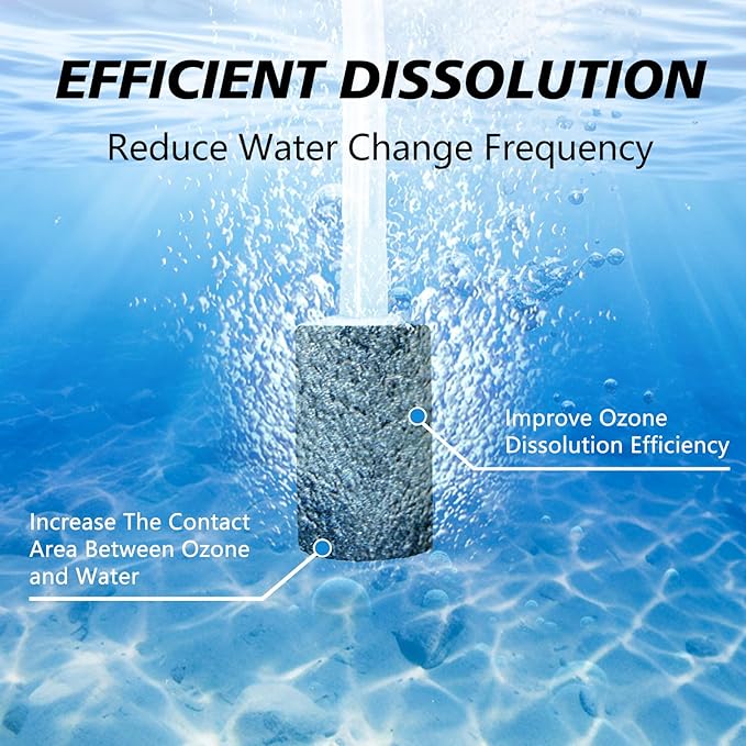 2000mg/H Ozone Generator for Cold Plunge with Timer,Ozone Bubbler, Portable Ozone Generator Keep Hot Tub Water Clean, Ozone Generator Hot Tub, Spa, Cold Plunge Accessories