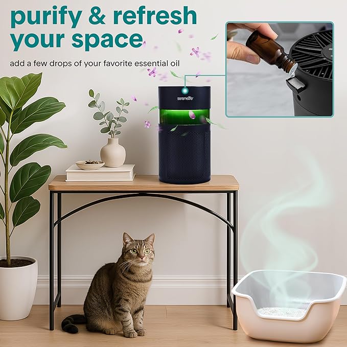SereneLife Portable Air Purifier | Small Air Purifier For Home, Allergies, Pet Hair & Bedrooms | Filter Change Reminder & Aroma Box | Filtration Removes Dust, & Smoke Odor | Timer & Sleep Mode | Black
