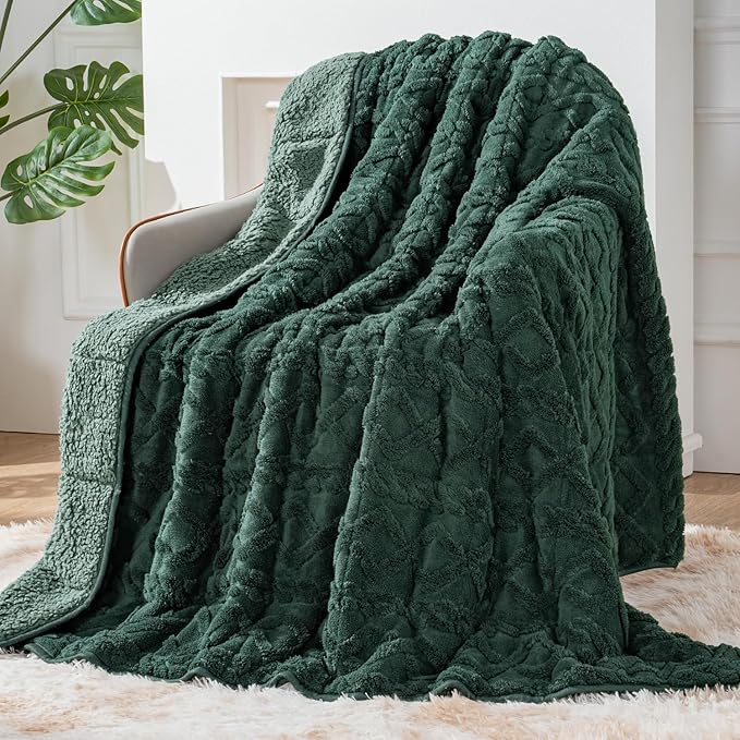 Sherpa Fleece Adult Weighted Blanket Great for Sleep, 20 lbs Dual Sided Soft Fuzzy Heavy Blankets for Couch Bed Sofa, Cozy Warm Fluffy Jacquard Throw for Winter (Green, 60" x 80", 20 Pounds)