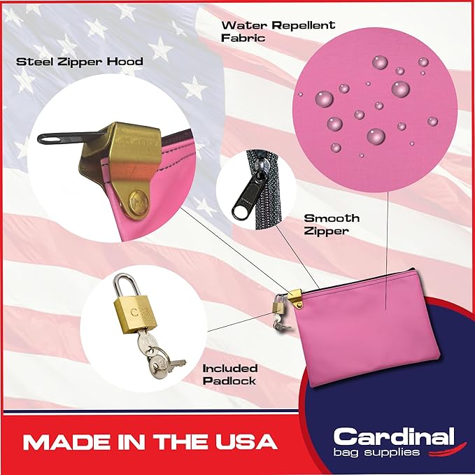 Medication Zipper Hood Security Bag with Included Padlock and Keys, Small Pill Bag, Travel Carry Pouch, Medicine Storage, 9 x 6 inches (Pink)