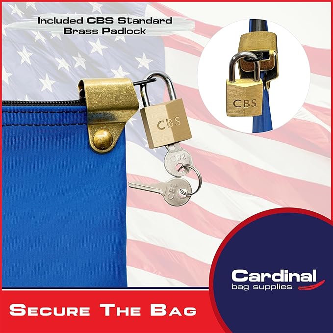 Medication Zipper Hood Security Bag with Included Padlock and Keys, Small Pill Bag, Travel Carry Pouch, Medicine Storage, 9 x 6 inches (Royal Blue)