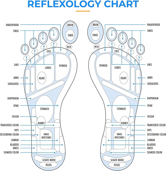 Daiwa Felicity Foot Massager Mat - Reflexology Mat with Magnetic Therapy Acupressure Disc - Ergonomic Acupressure Mat for Feet Relaxation, Pressure Point Pad - (Blue)