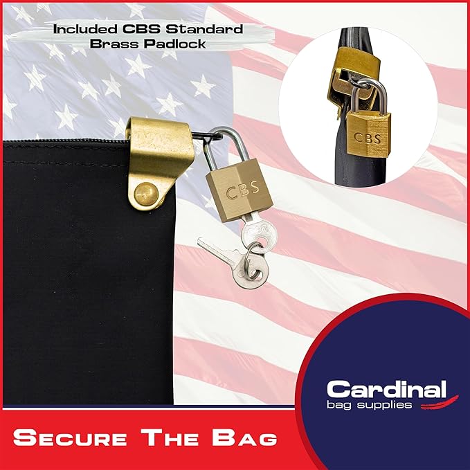Medication Zipper Hood Security Bag with Included Padlock and Keys, Small Pill Bag, Travel Carry Pouch, Medicine Storage, 9 x 6 inches (Black)