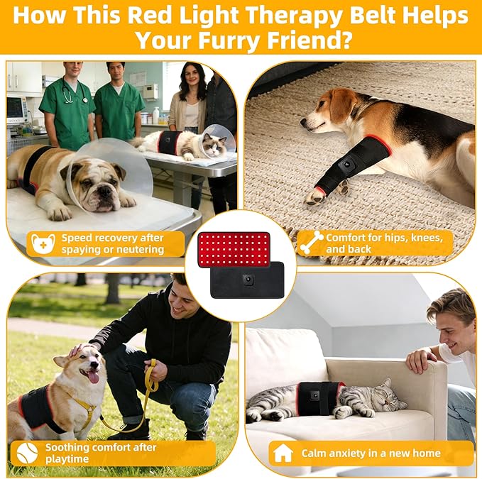 Pets Upgraded Red Light Therapy Belt, LED Infrared Therapy with 4 Modes & 4 Adjustable Timer, 60 LEDs, 660nm & 850nm Red Light, LED Screen Pet Muscle Recovery Light for Joint Relief