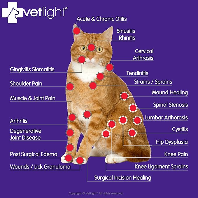 VETLIGHT Red Light for Dogs, Cats, Horses and Other Animals.