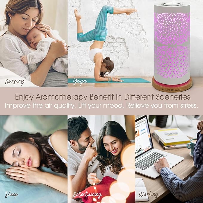 Earnest Living Waterless Diffuser 100ml Nebulizing Diffusion System for Large Ambient Space Studio Home Office Hotel Spa